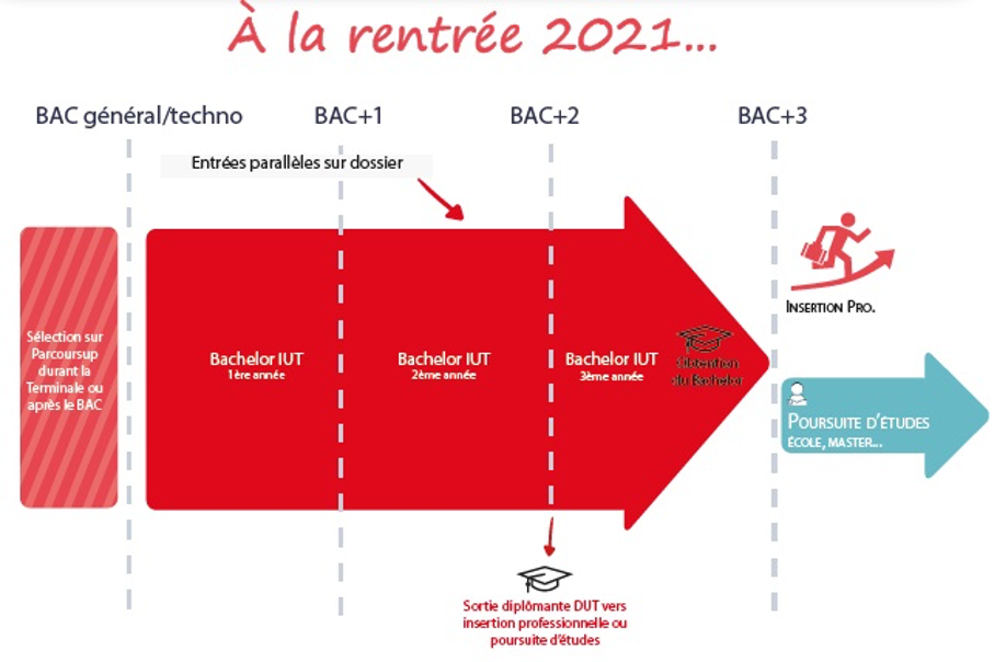 Découvrez le Bachelor Universitaire de Technologie (B.U.T) du département Tech de Co