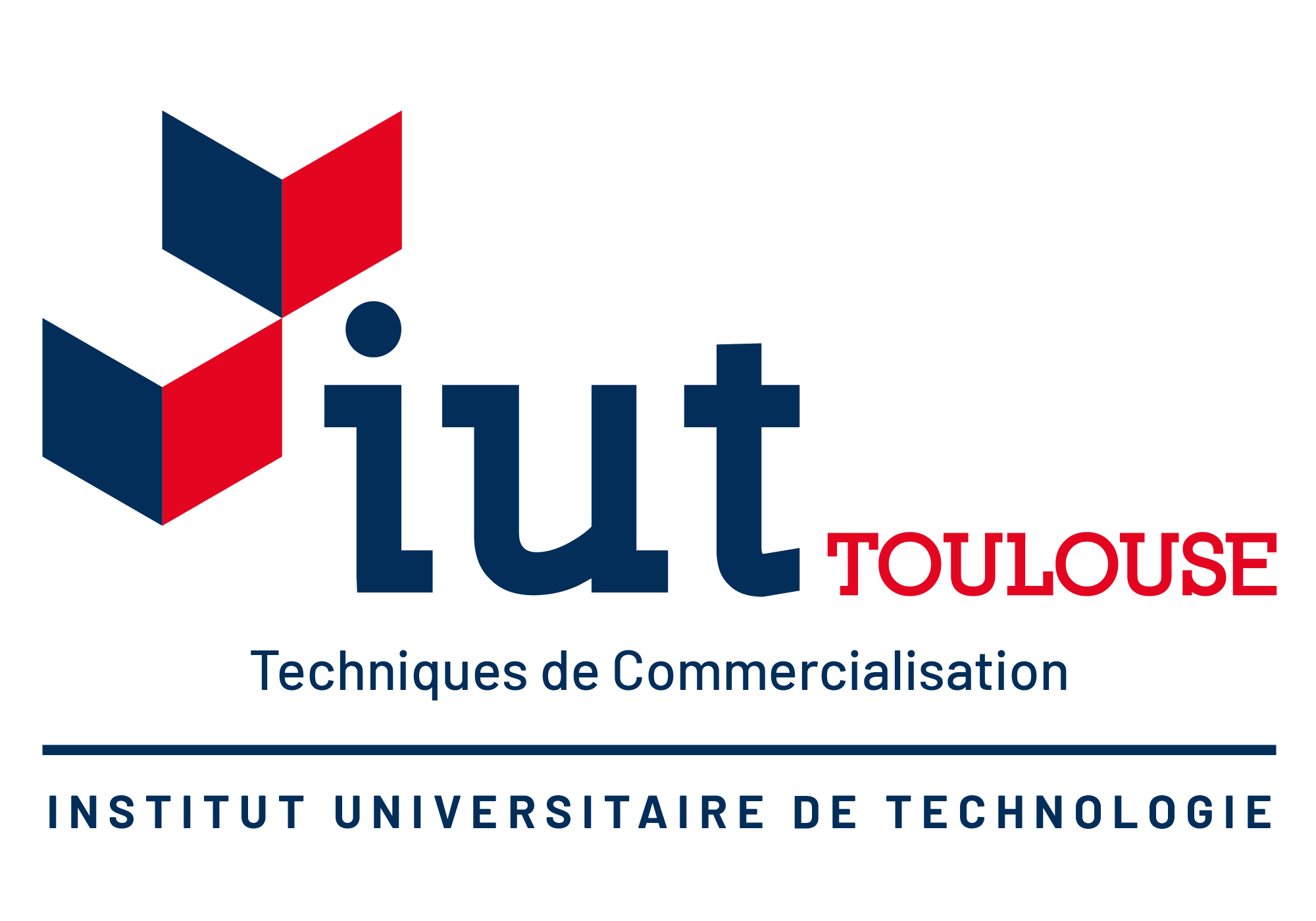 IUT Tech de Co Toulouse